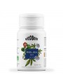 Melisa BIO 45 cápsulas vegetales BIO
