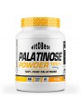 Palatinose 2kg